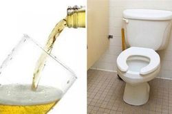 Đổ 1 cốc bia vào nhà vệ sinh, bạn sẽ phát hiện ra điều bất ngờ chưa từng thấy