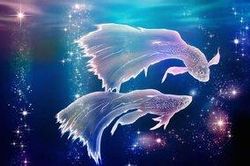 Xem tử vi hàng ngày thứ 4 ngày 11/9/2019 của 12 cung hoàng đạo: Ma Kết tràn đầy năng lượng, Song Ngư tiêu tốn tiền bạc