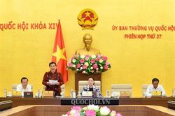 Thực sự 'trưởng thành về mặt chất lượng'