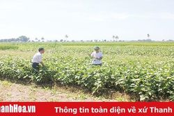 Nhìn từ việc thực hiện nhiệm vụ của đảng viên phụ trách hộ, nhóm hộ