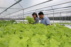 Phấn đấu hoàn thành các chỉ tiêu nông thôn mới