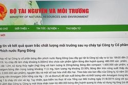 Thông tin kết quả quan trắc môi trường sau cháy Công ty Rạng Đông bất ngờ bị gỡ bỏ khỏi Cổng thông tin Bộ TN&MT