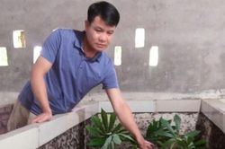 Làm giàu từ nuôi côn trùng