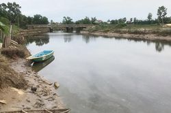 Lo lắng bởi tin cá sấu bơi trên sông Cầu Đông