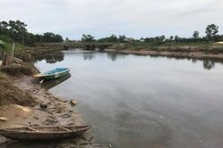 Người dân lo lắng vì xuất hiện cá sấu dưới sông