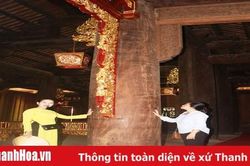 Chuyện về cây lim 'hiến thân' ở vùng đất thiêng Lam Kinh