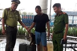 Giải cứu nhiều động vật hoang dã quý hiếm được người dân nuôi nhốt