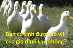 3 bài toán tính số vật nuôi khiến dân mạng 'điên đầu'