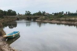 Người dân nơm nớp lo khi cá sấu xuất hiện trên sông