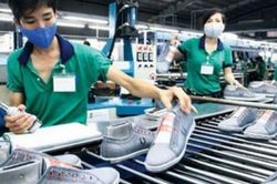 Hệ sinh thái khởi nghiệp đang phát triển mạnh mẽ