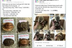 Khóa các tài khoản facebook chia sẻ hình ảnh động vật