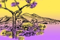 Hoa mộc miên biên giới