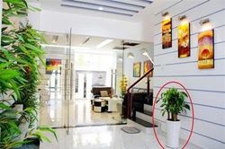 Nhìn 1 điểm này biết ngay nhà có 'lộc để dành'