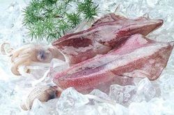 Cách chọn mua mực tươi, mực khô ngon nhất?