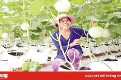 Vĩnh Phú tiến tới nông thôn mới nâng cao
