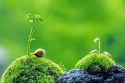 Chuyện về tờ tiền 20 đô: Dù cuộc đời xô đẩy, hãy cứ là chính mình