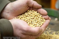 Mỹ sẽ xem xét thỏa thuận thương mại tạm thời với Trung Quốc