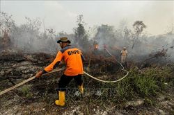 Hơn 39.000 người gặp vấn đề về hô hấp do khói mù tại Riau, Indonesia