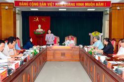 Phó Chủ tịch nước Đặng Thị Ngọc Thịnh làm việc với lãnh đạo tỉnh