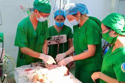 Bác sĩ Sài Gòn vượt 150km cứu bé gái có tim nằm bên phải