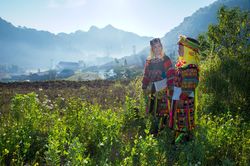 Kỳ diệu Lô Lô Chải