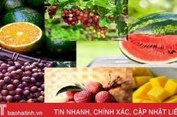 Ăn hoa quả như thế nào để tốt cho sức khỏe?