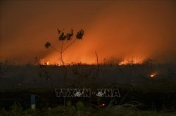 Indonesia: Bùng phát cháy rừng tại các đồn điền thuộc sở hữu của công ty Malaysia