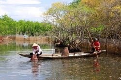 Kinh tế Nông nghiệp - Nông thôn Phát triển nông - lâm nghiệp bền vững gắn với du lịch