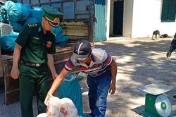 Thu giữ 1.200 kg thịt heo sữa không rõ nguồn gốc