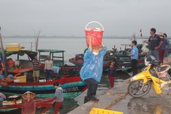 Nhọc nhằn phận người phụ nữ đội cá thuê