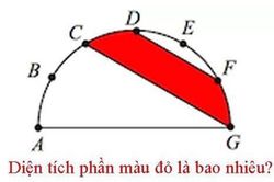 Bạn có thể tính được diện tích phần tô màu đỏ ở bài toán này?