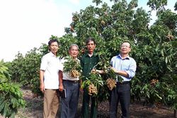 Biến sỏi đá thành... tiền