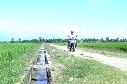 Ninh Hòa: Nỗ lực xây dựng nông thôn mới