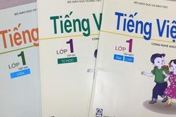 Vì sao bộ sách giáo khoa 'tròn - vuông - tam giác' của GS. Hồ Ngọc Đại bị trượt từ vòng 1?
