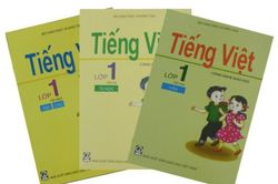 GS Trần Ngọc Thêm: 'Sách của GS Đại nên được thẩm định theo cách khác'