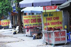 Khi chính quyền kêu gọi dân không ăn thịt chó