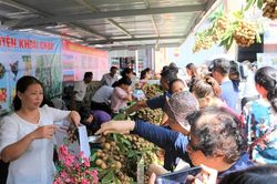Nông sản trong nước có xu hướng lấn át sản phẩm nhập ngoại