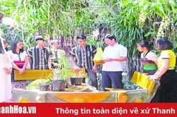Khi thầy hiệu trưởng mê... phong lan