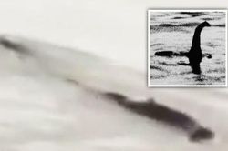'Quái vật hồ Loch Ness' phiên bản Trung Quốc gây xôn xao dư luận