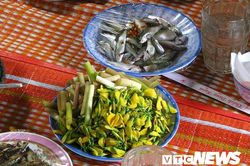 Vị vua chinh phục 3 châu lục, lập ra 70 thành phố là ai?