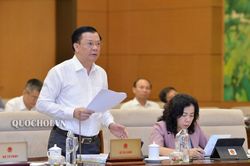 Ma túy lọt qua cửa khẩu có do thủ tục hải quan dễ dãi?