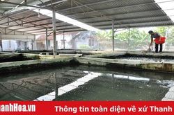 Thành công từ hướng đi mới
