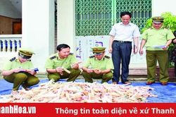 Tăng cường kiểm soát hoạt động buôn bán hàng lậu, hàng cấm