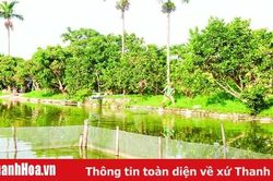 Huy động nội lực phát triển kinh tế