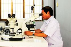 Tiến bộ kỹ thuật mới trong nông nghiệp