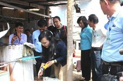 Đà Nẵng gần 4.257 trường hợp mắc bệnh sốt xuất huyết