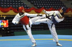 Gần 300 võ sĩ dự tranh giải vô địch taekwondo năm 2019