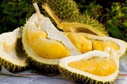 Những người đại kỵ với sầu riêng, thèm đến mấy cũng phải 'tránh cho xa'