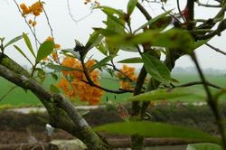 Ly hôn cho chồng... sáng mắt ra!