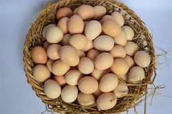 Người bán trứng không bao giờ nói với bạn: Tuyệt chiêu chọn trứng gà ta tươi ngon